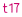 t17